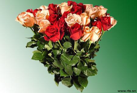 ''oui je l'aime tant''