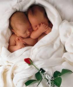petits amours