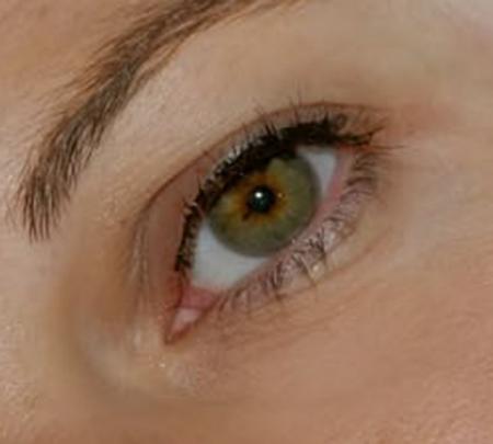 regard
